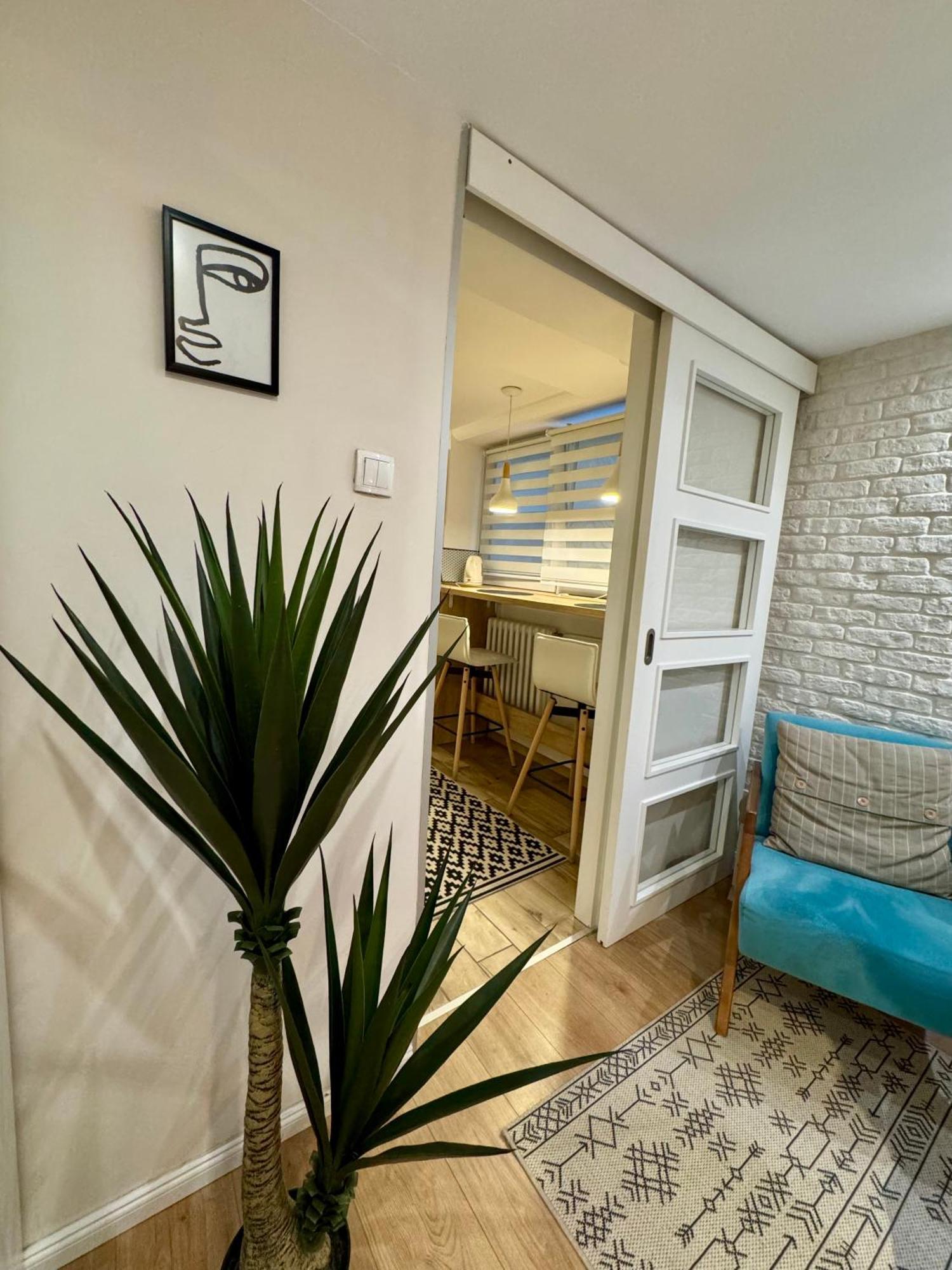 Cozy Haven Leilighet Beograd Eksteriør bilde